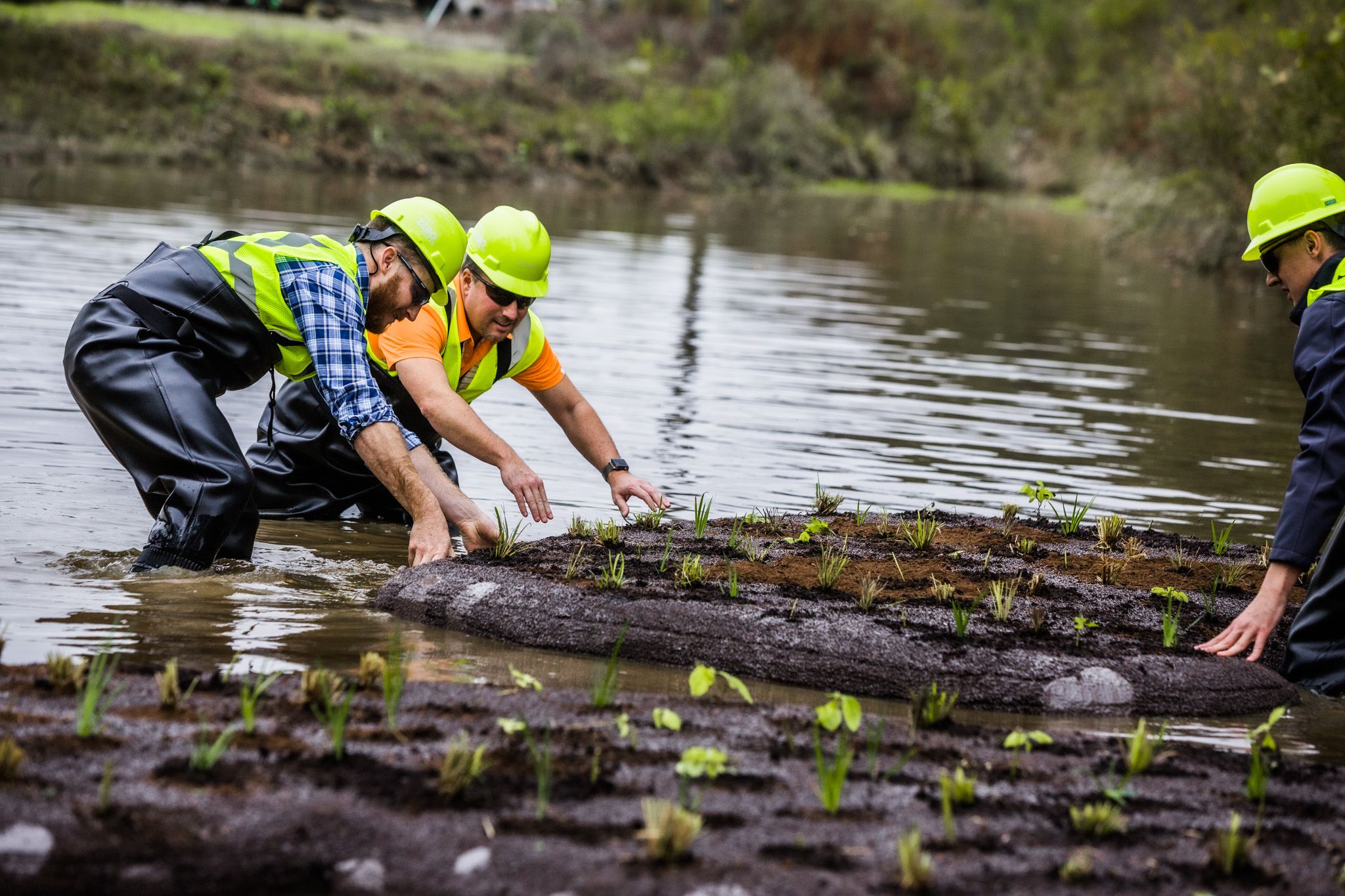 Newsoms Plant Koppers Inc.