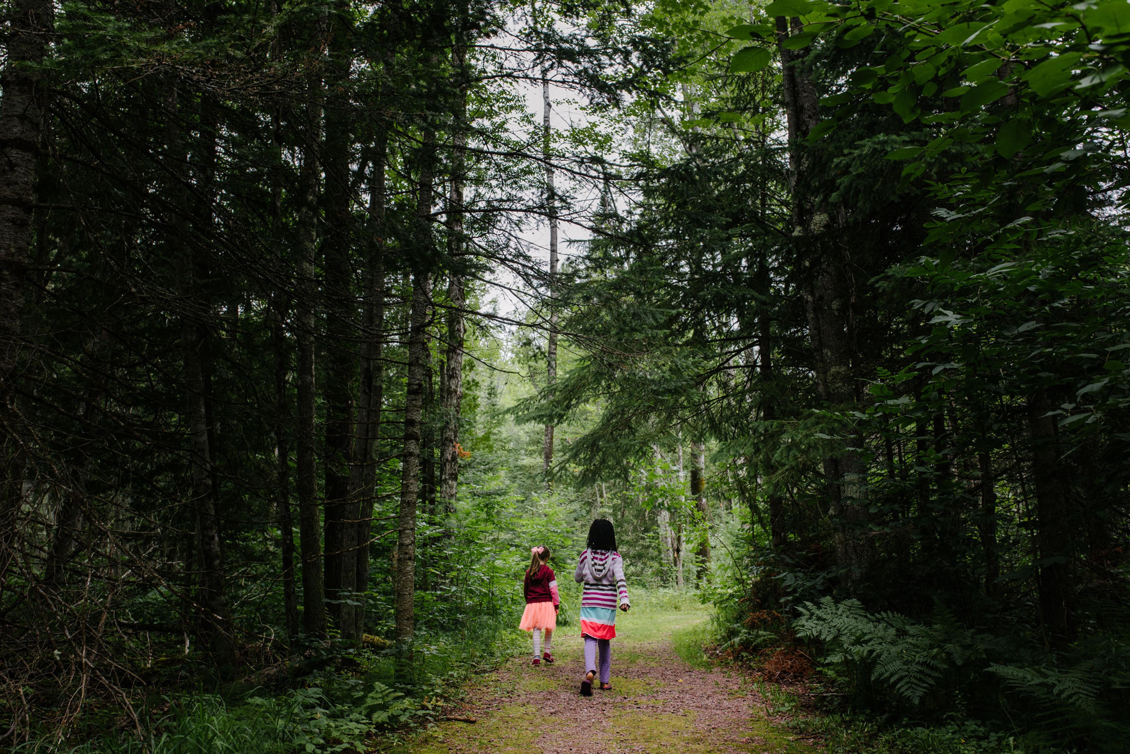 Two children walking through a forest