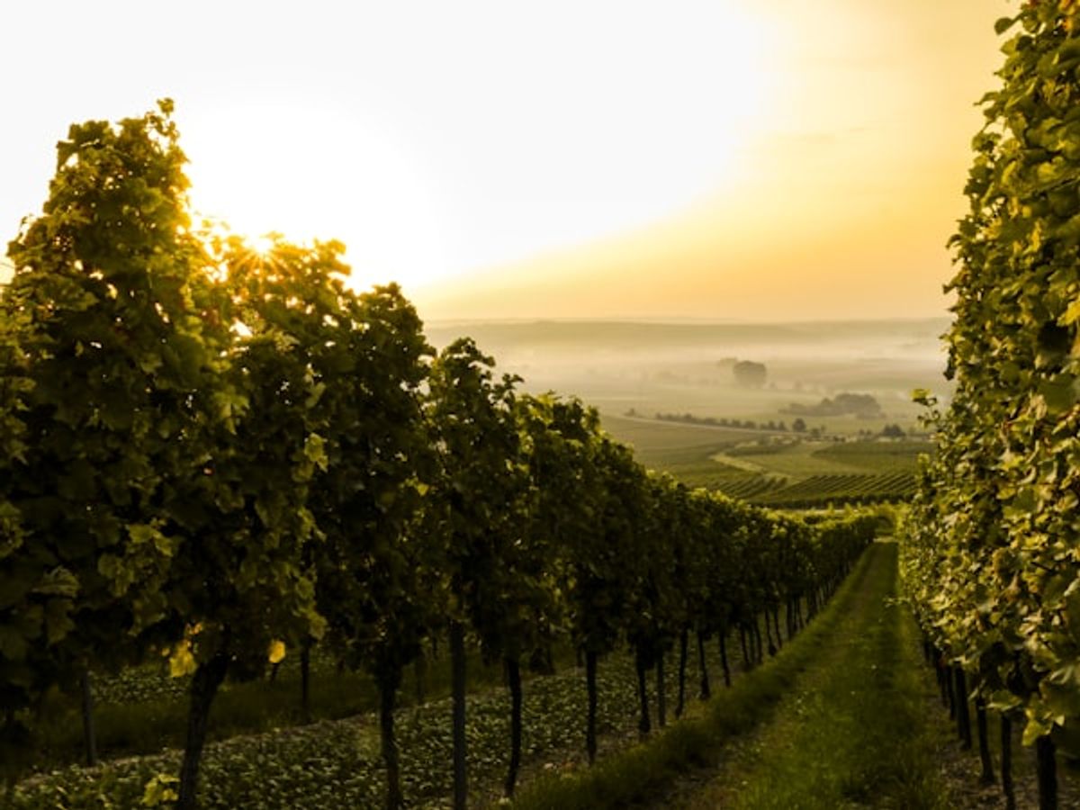 How to Save Money on European Tours Without Sacrificing Quality