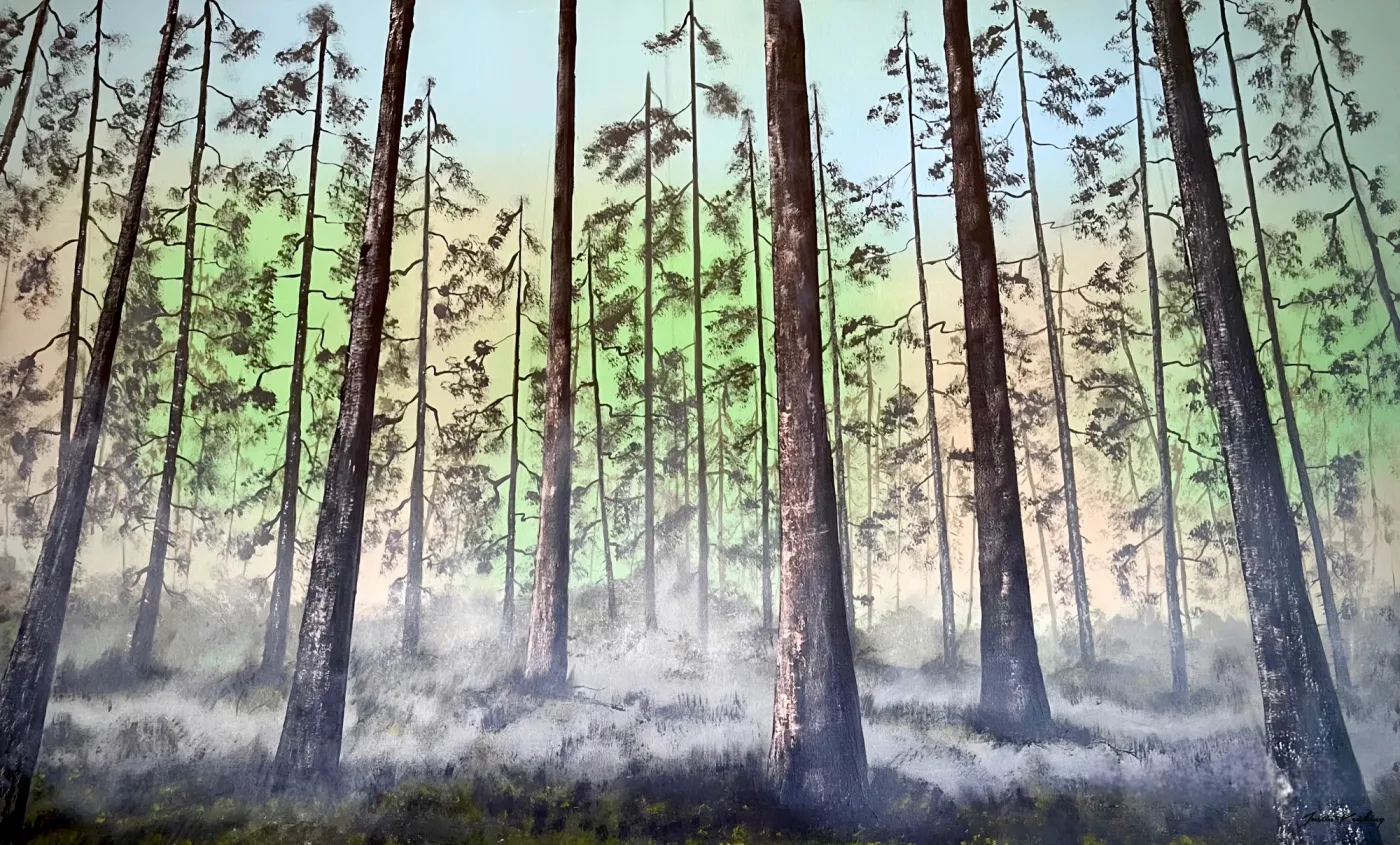 Misty Pine Cathedral