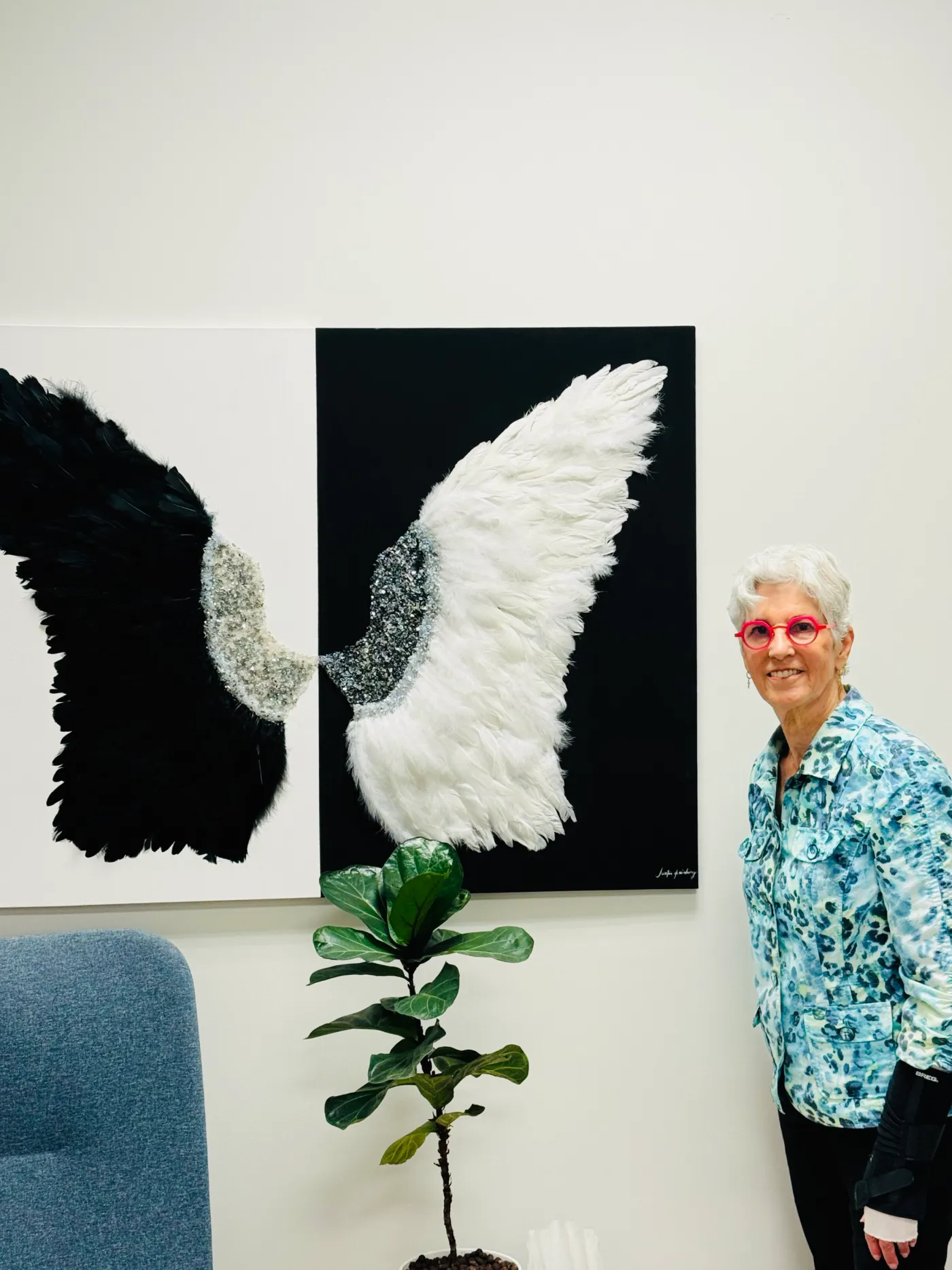 Wings Of Contrast