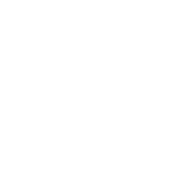 Picnic