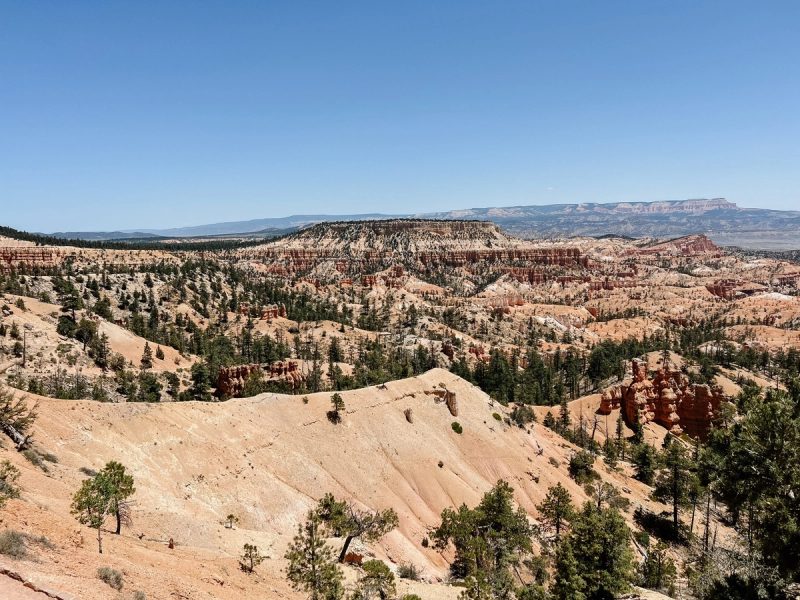 Zion and Bryce Canyon National Parks 2025
