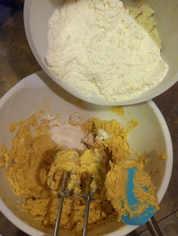 chocchip5