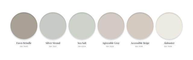 Top Paint Picks