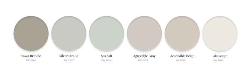 Top Paint Picks