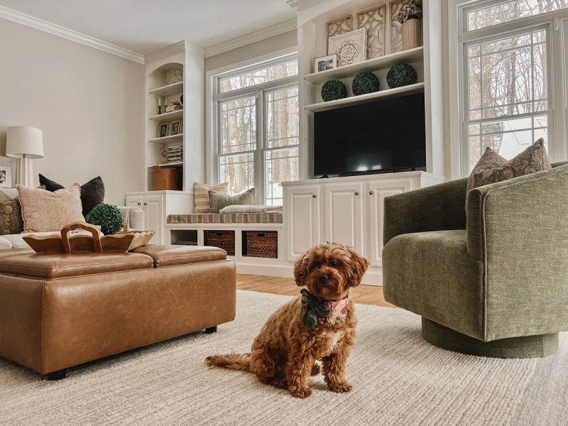 Family Room (featuring the Crate & Barrel Lounge Sectional and Pottery Barn Flannery Rug)