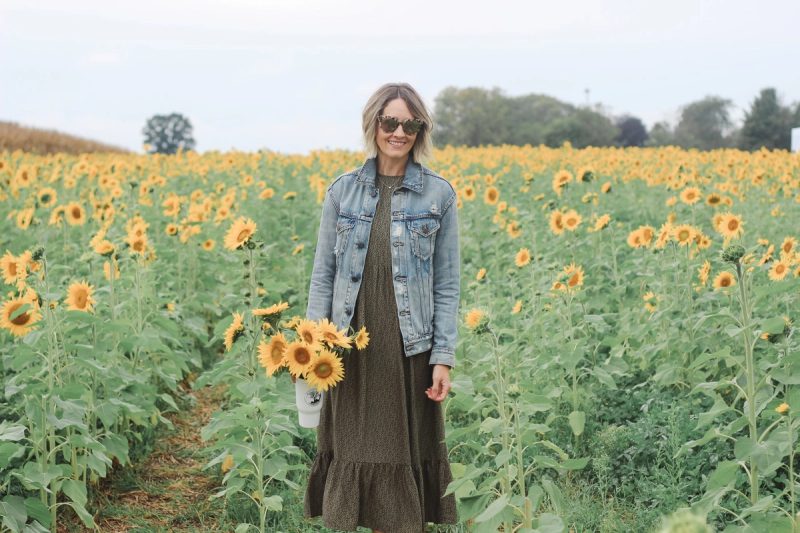 Fields of Sunflowers