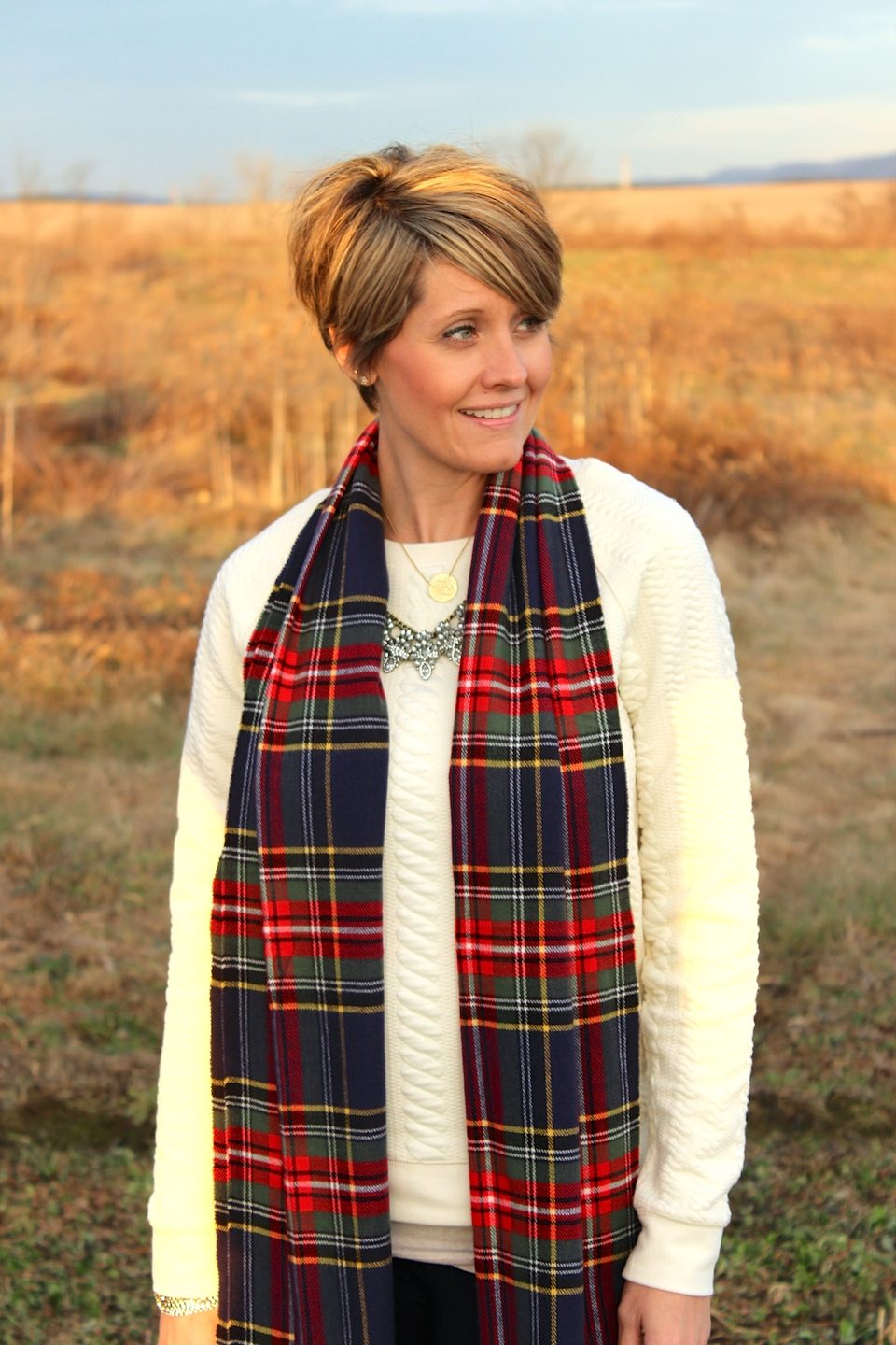 plaid4