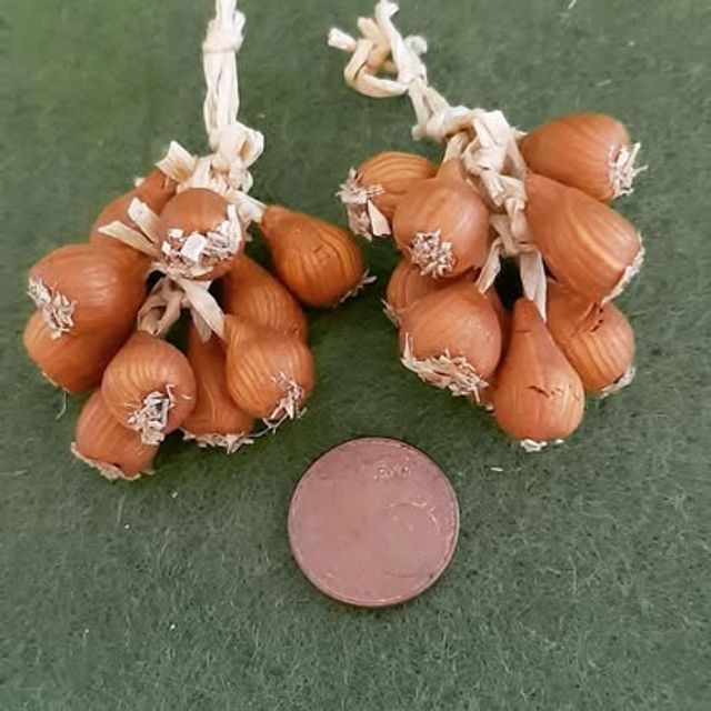 Due trecce di cipolle dorate legate con rafia, in miniatura