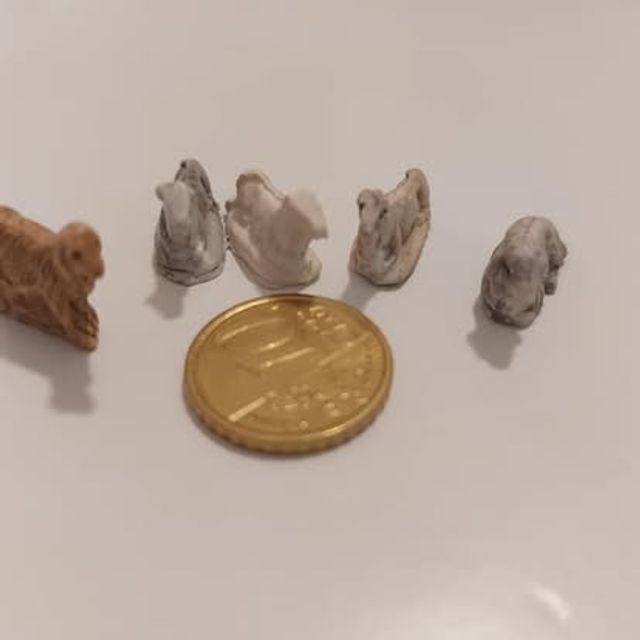 Piccolo gruppo di pecorelle bianche e grigie in miniatura