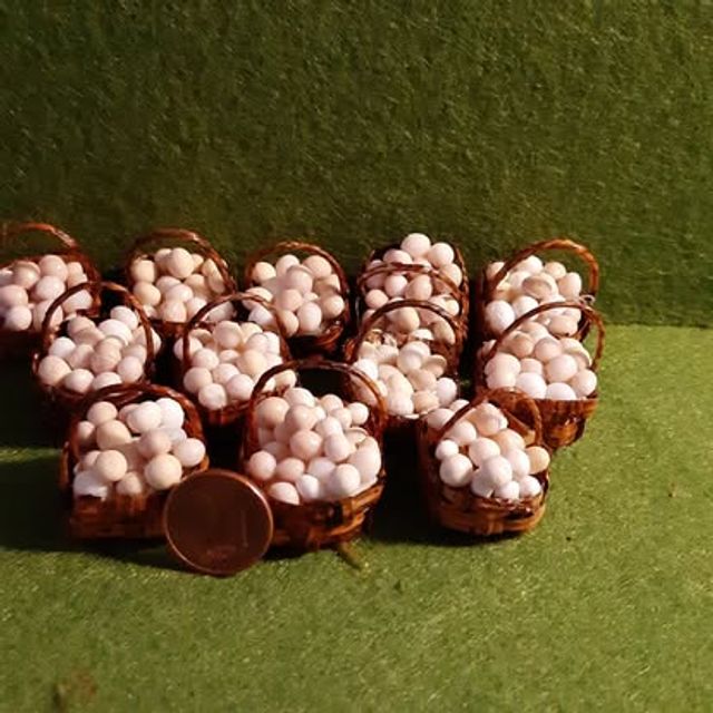 Set di cestini con funghi champignon bianchi in miniatura