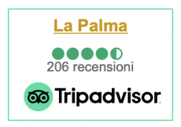 tripadvisor