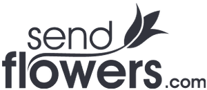 Send Flowers logo, with the word send in all lower-case letters over the word 'flowers-dot-com' in all lower-case letters. Between 'send' and 'flowers' is a drawing of a flower