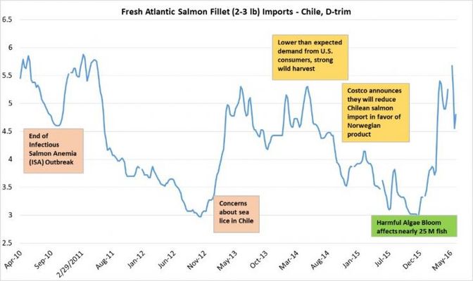 Atlantic Salmon imports chart