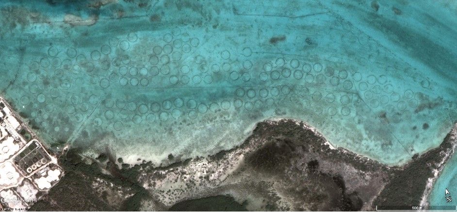 Conch farm satellite view