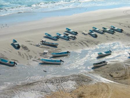 Modern Home Aquaculture investment analysis location