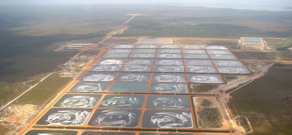 Shrimp farm ponds