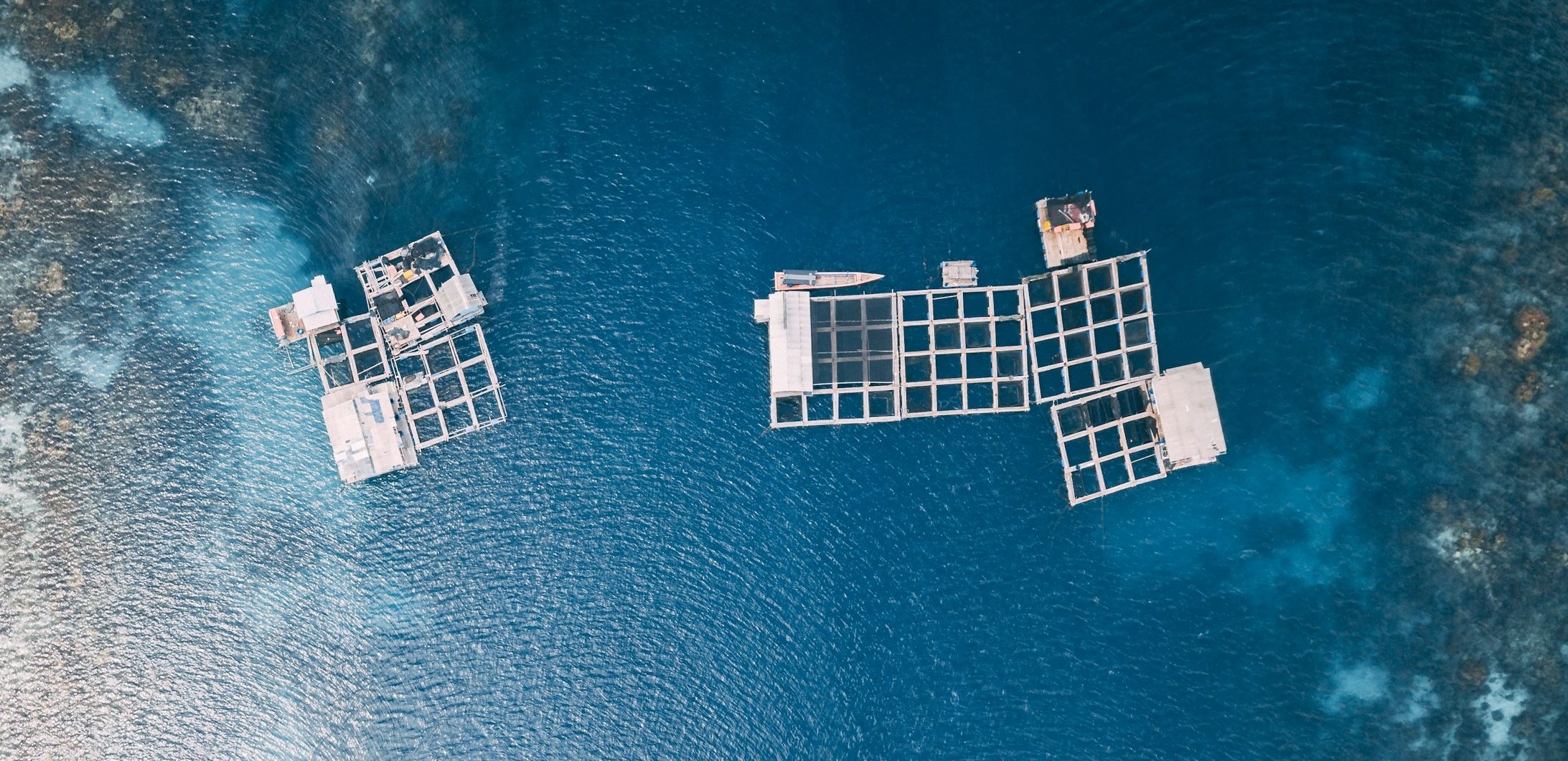 Marine fish farm with multiple square enclosures