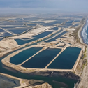 Industrial-scale shrimp farming and processing operation in Ecuador