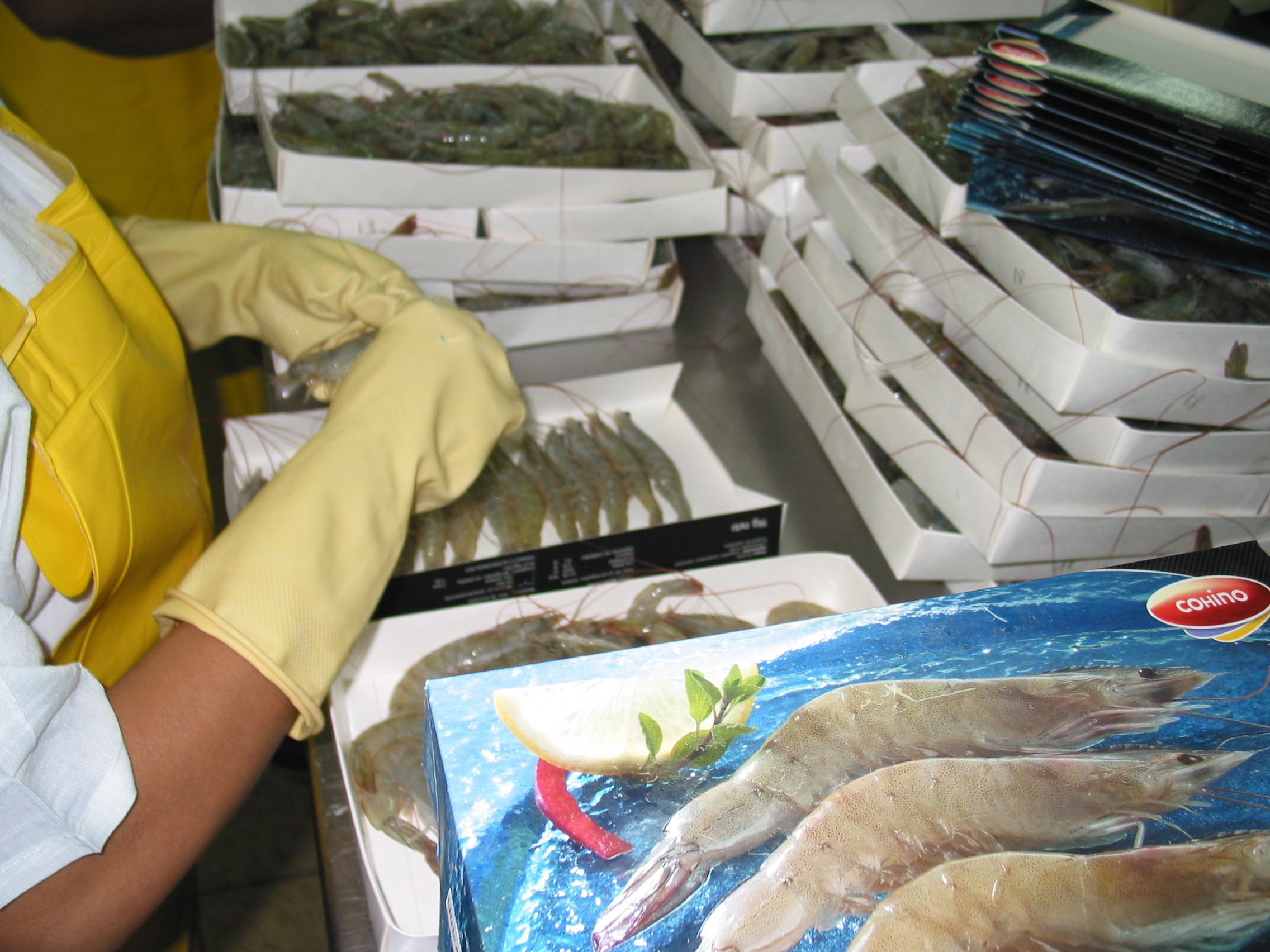 Shrimp processing