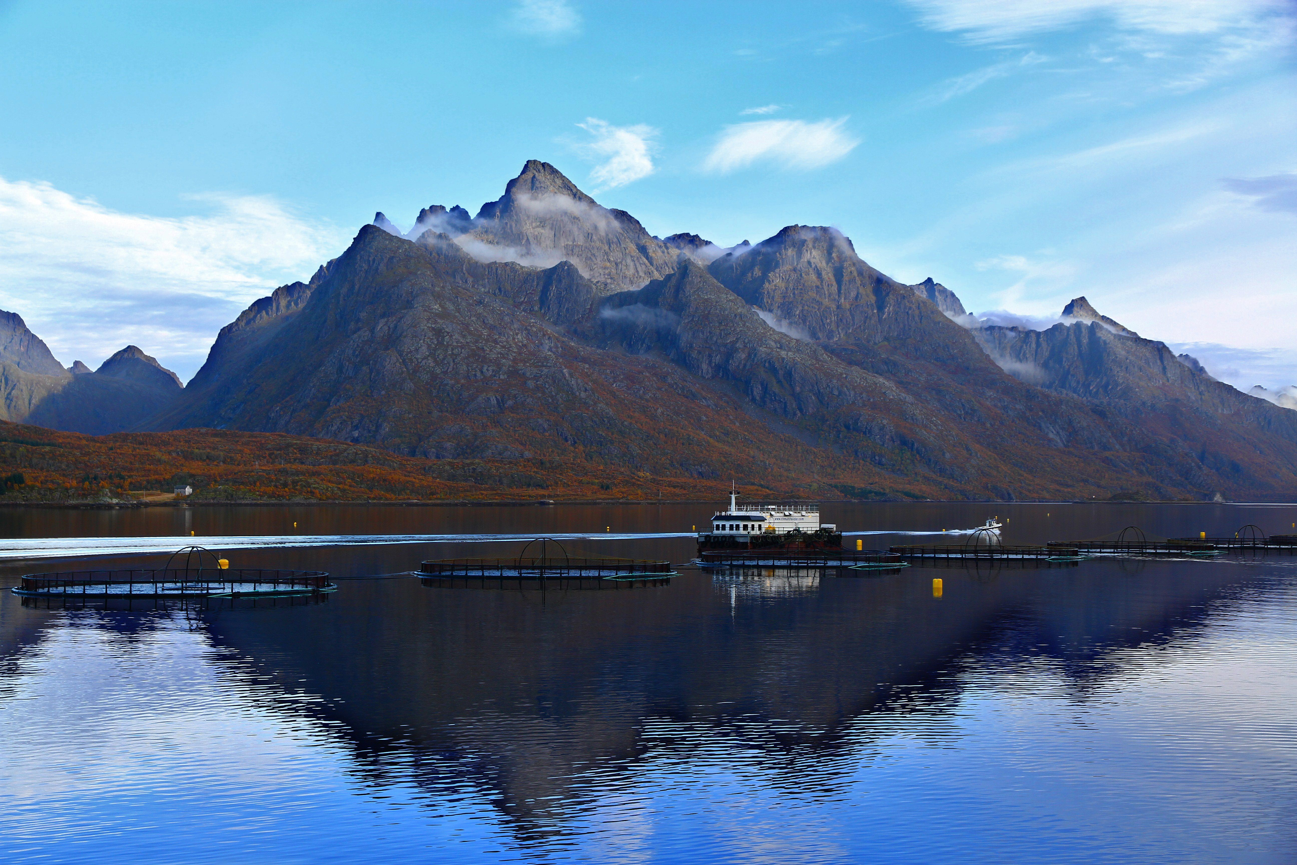 Large salmon farm in front of picturesque mountains