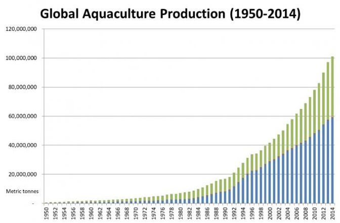 Global aquaculture demand chart
