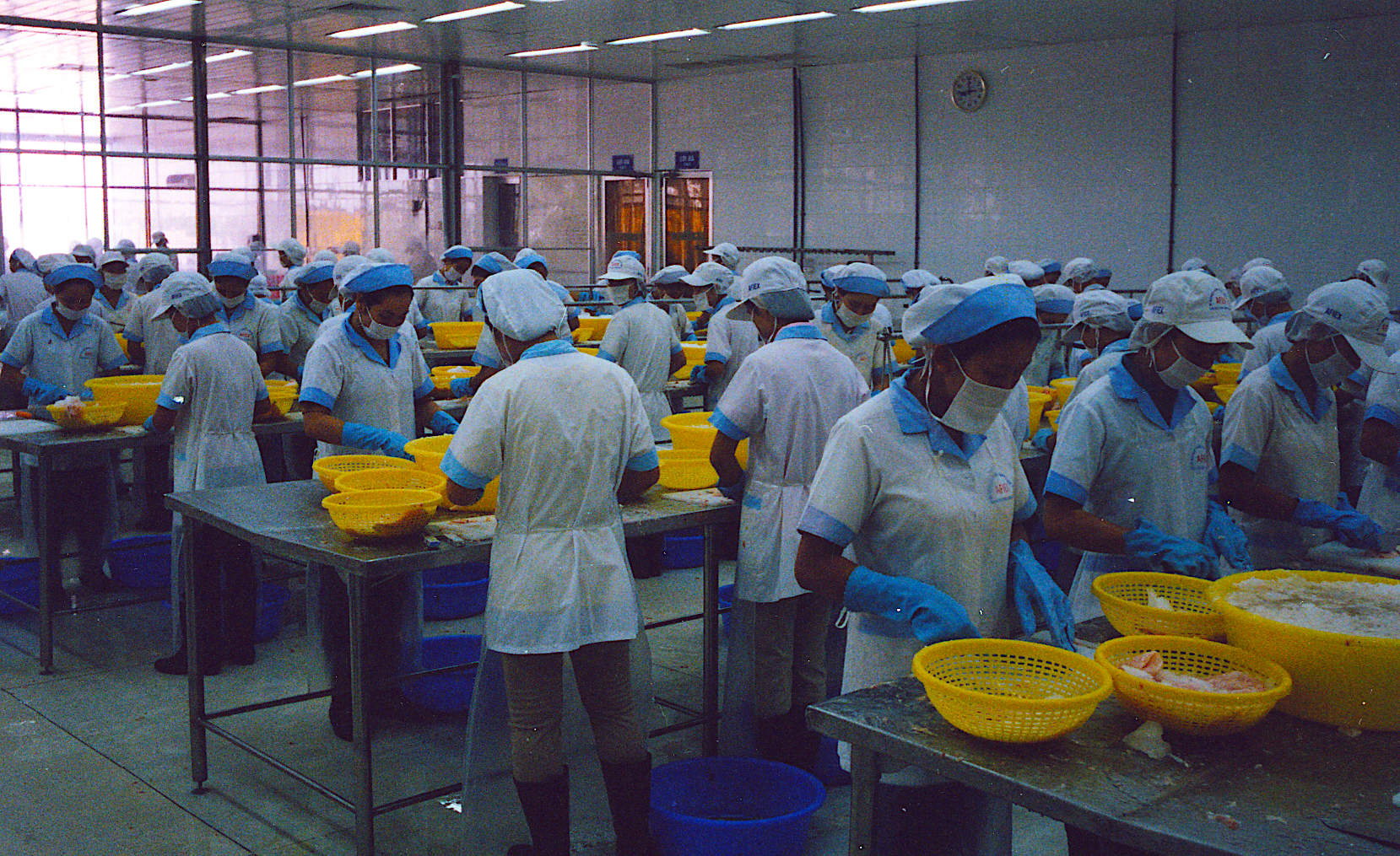mekong farm fish processing