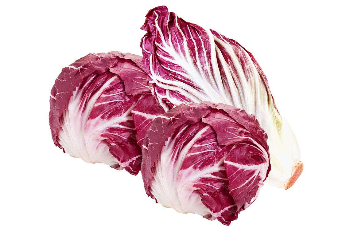 Radicchio