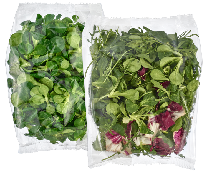 Salat oder Salat-Mix