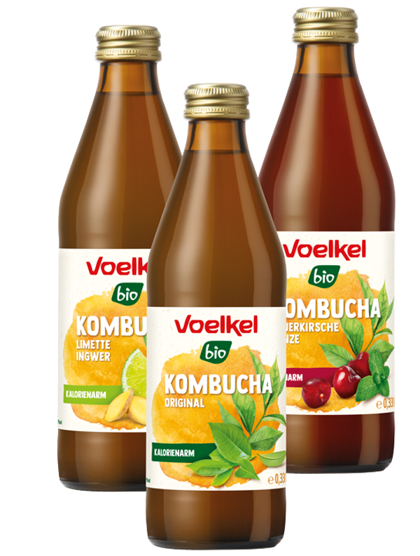 Kombucha Limette Ingwer