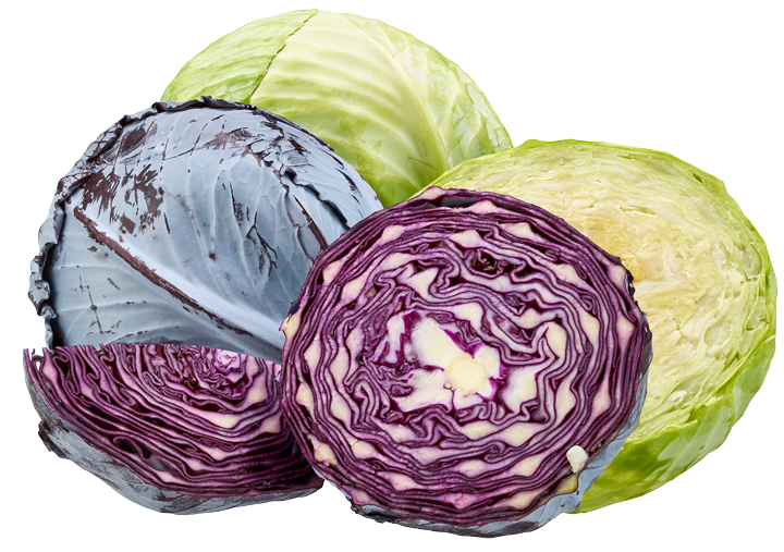 Rot- oder Weißkohl