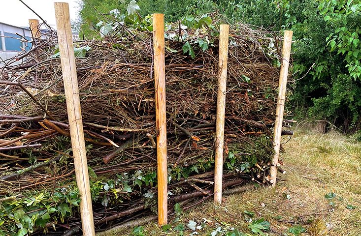Ab in die Hecke