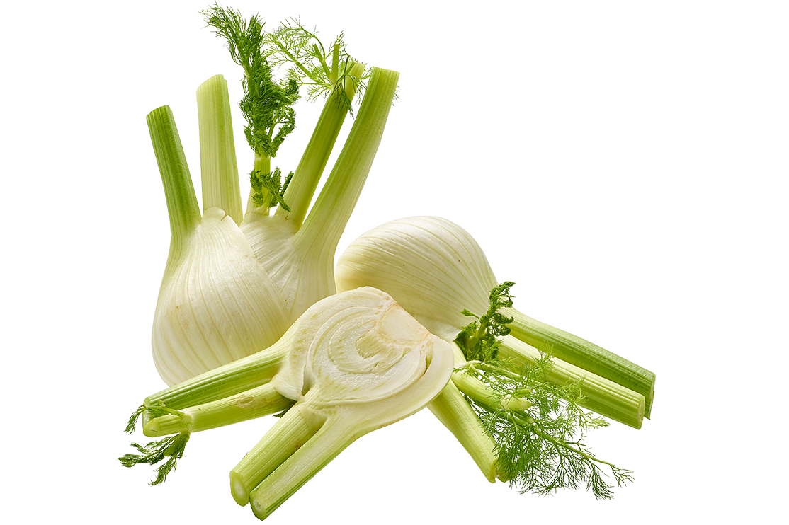 Fenchel