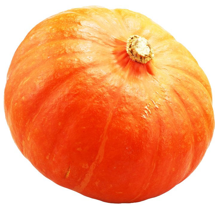 Hokkaido Kürbis