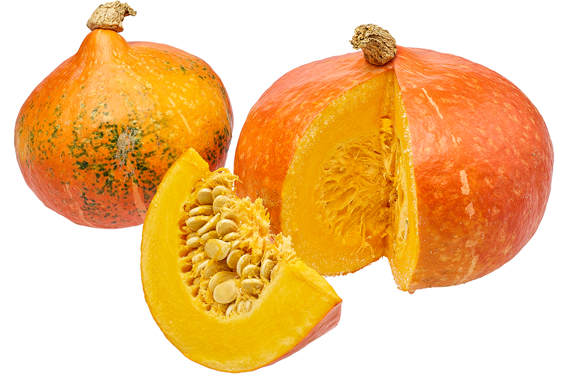 Hokkaido Kürbis