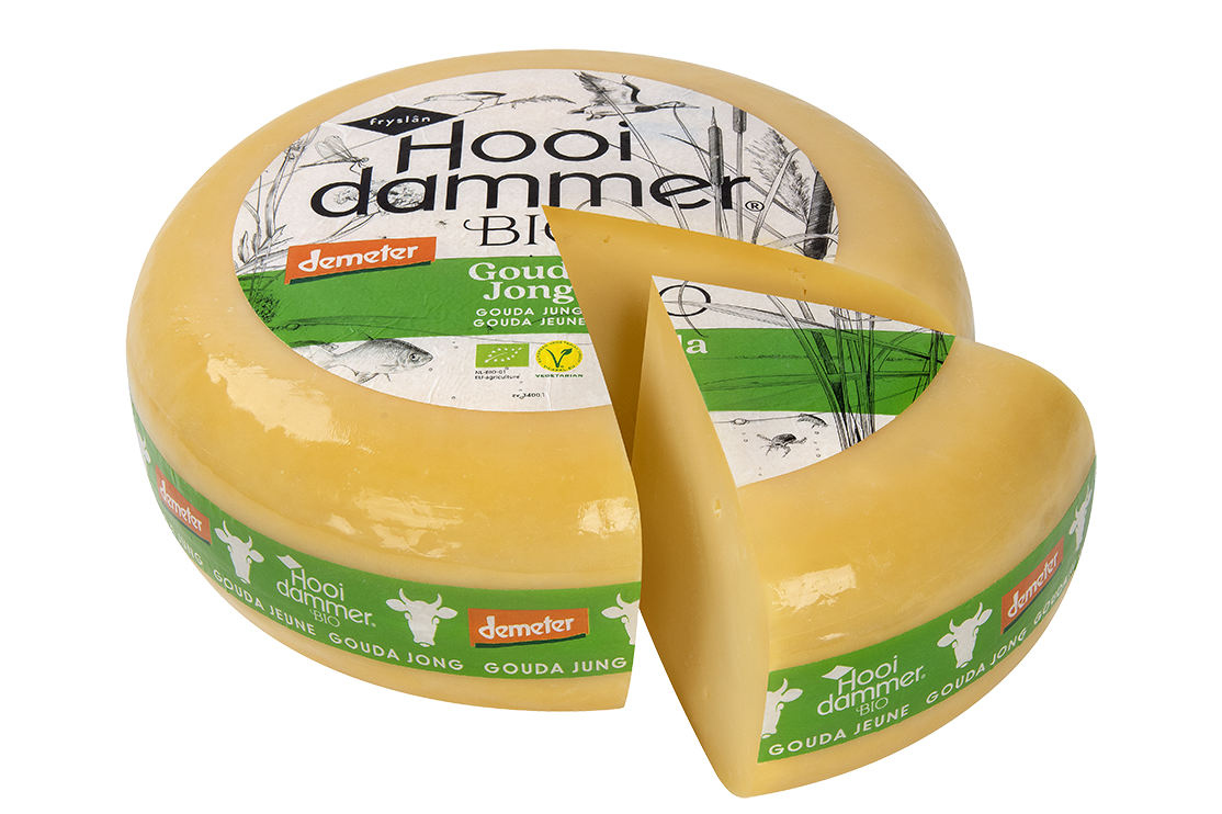 Gouda jung