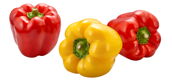 Paprika