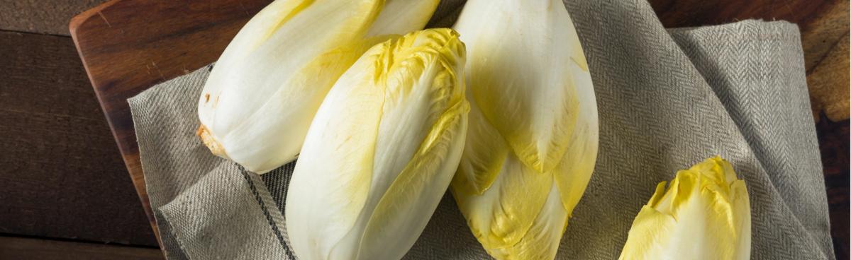 Lebensmittelkunde: Chicorée | biomarkt.de