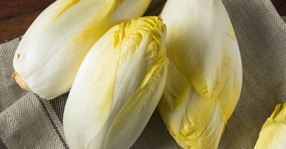 Lebensmittelkunde: Chicorée | biomarkt.de Lebensmittelkunde: Chicorée | biomarkt.de
