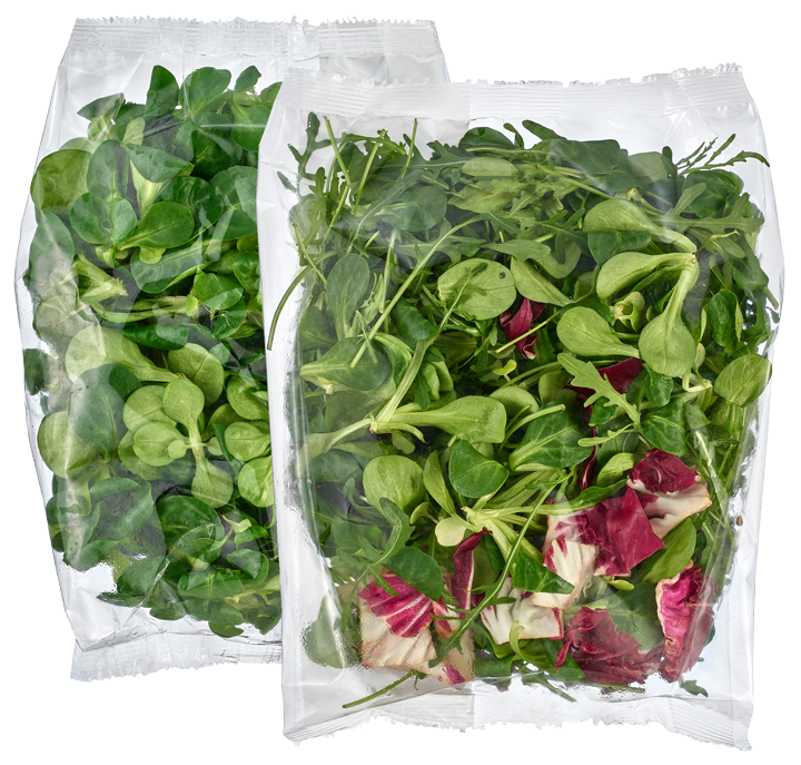 Feldsalat oder Feldsalat-Mix
