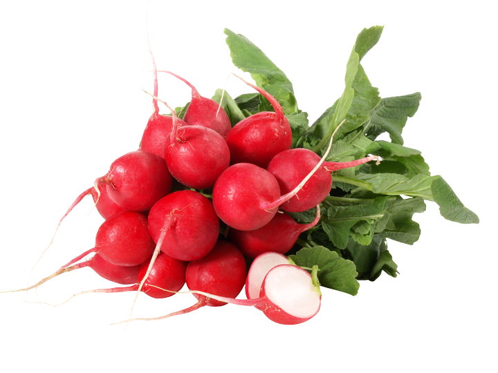 Radieschen