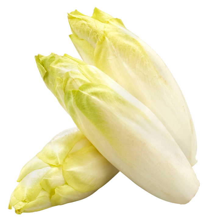 Chicorée