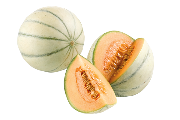 Honigmelone