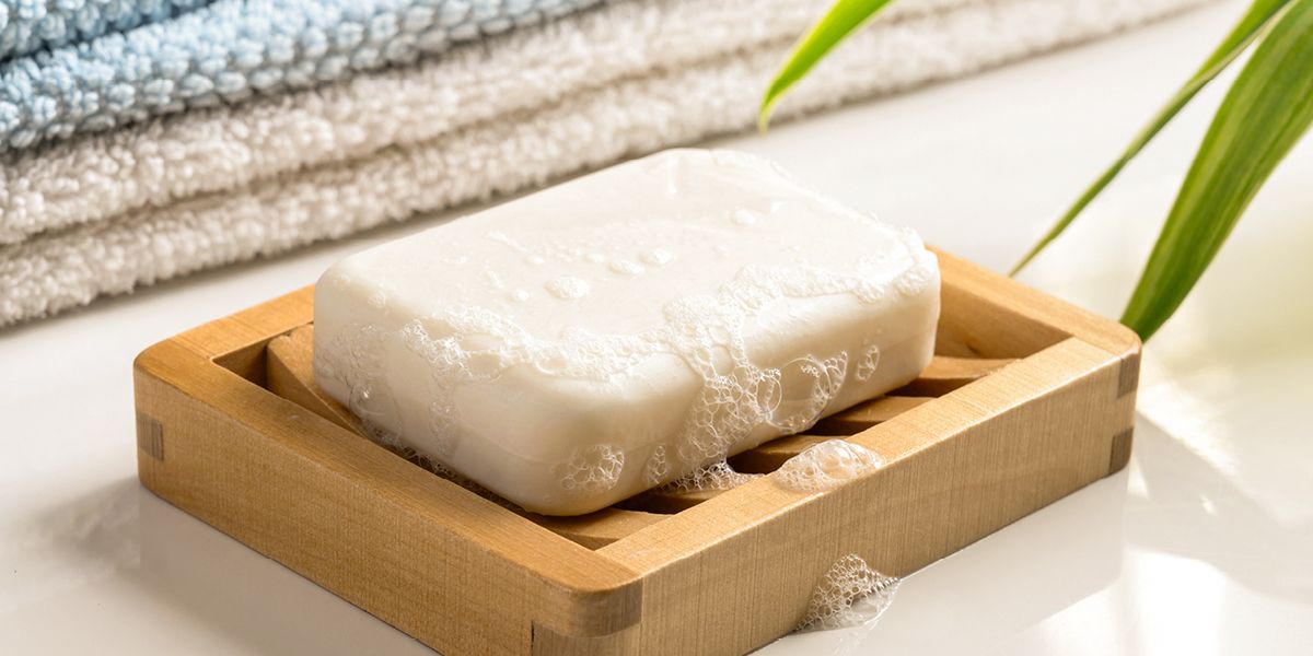 Querbeet: Aloe Vera  Bio-Pflegekraft, nachhaltig & regenerierend |  BioMarkt | denns-biomarkt.at