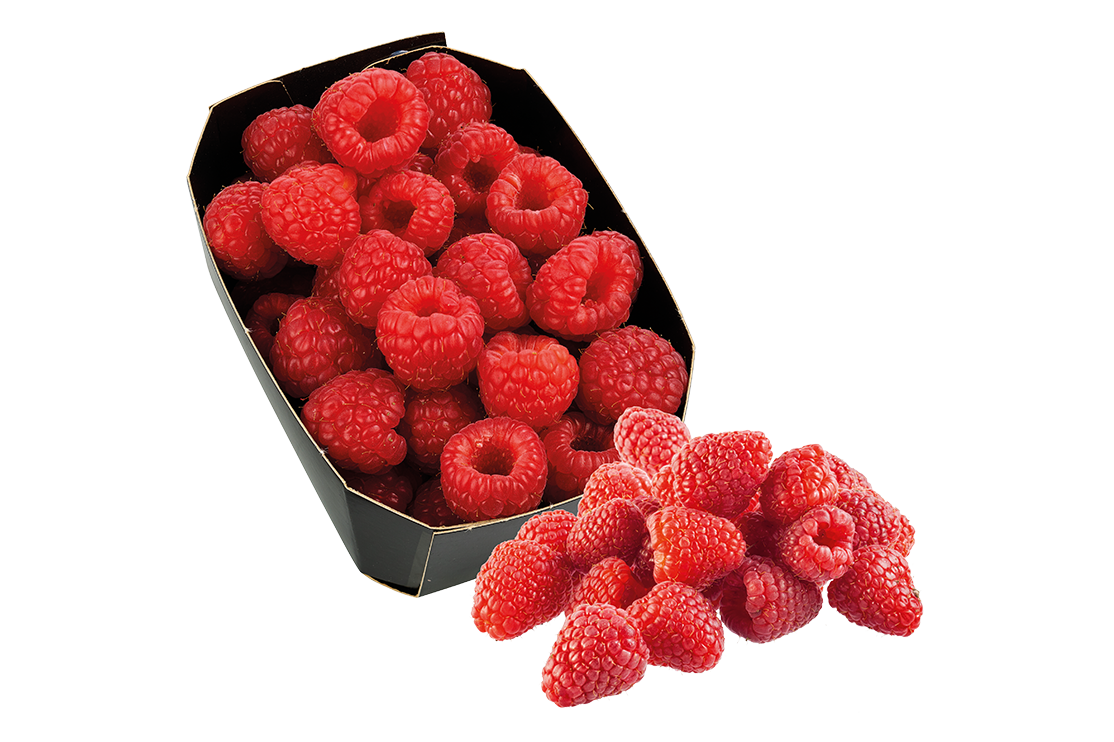 Himbeeren