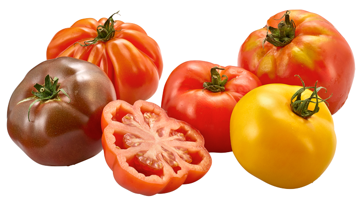 Tomaten Ochsenherzen