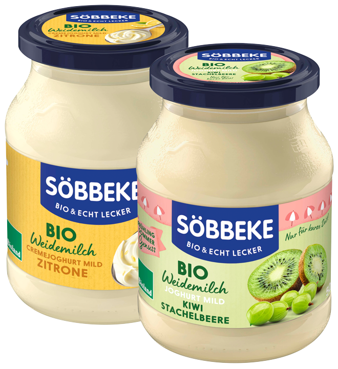 Frucht- oder Saisonjoghurt