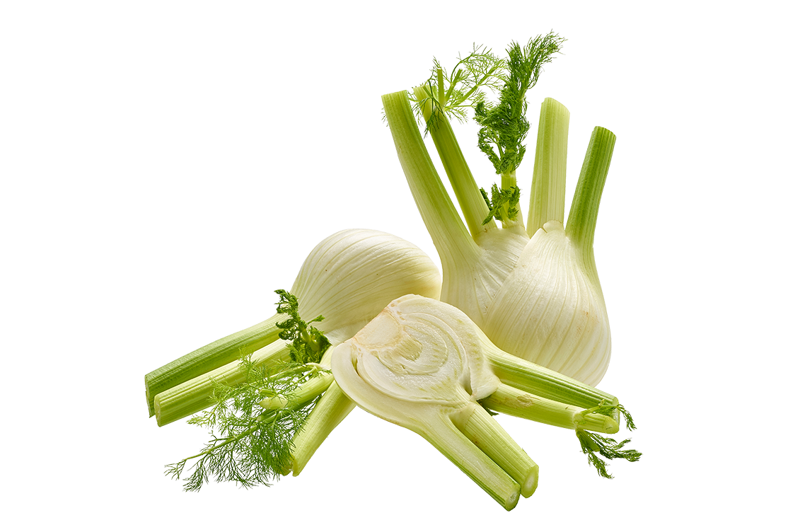 Fenchel
