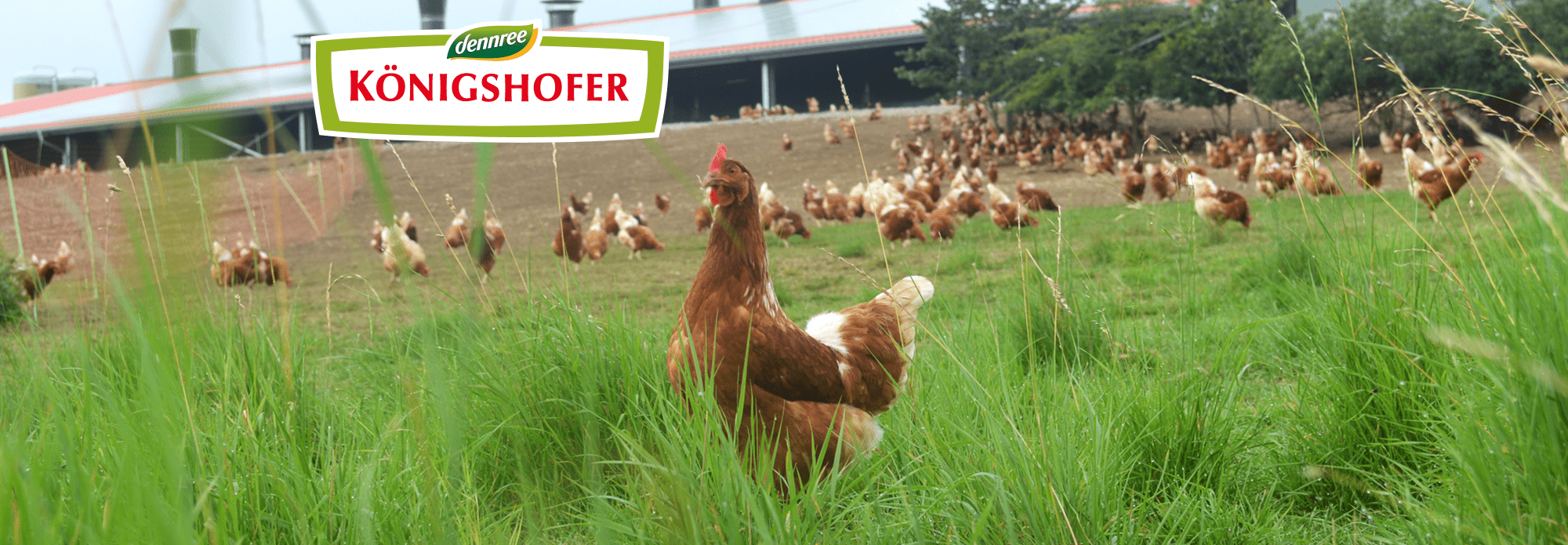 Hersteller: Königshofer | Biomarkt.de